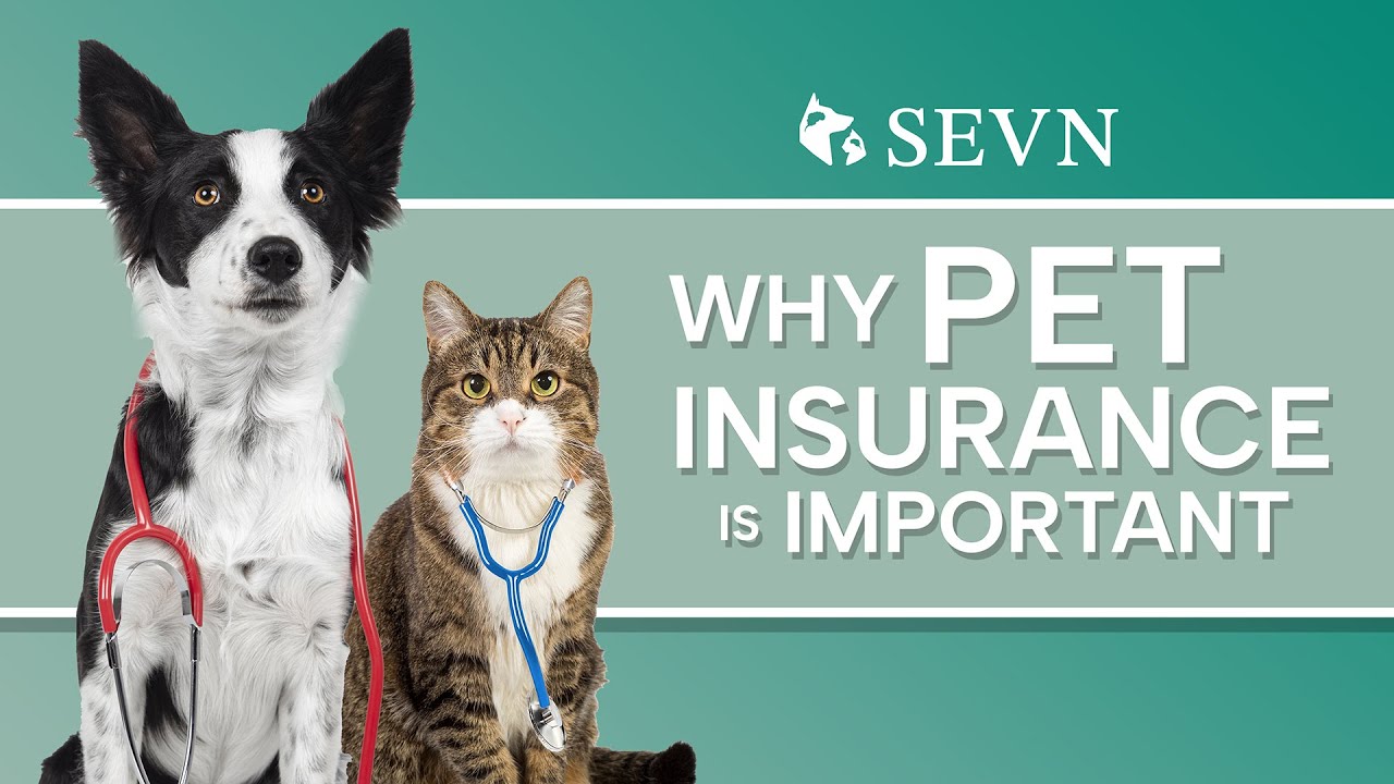Pets Insurance